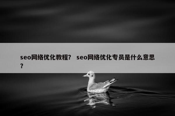 seo网络优化教程？ seo网络优化专员是什么意思？