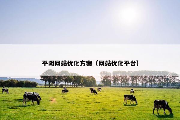 平阴网站优化方案（网站优化平台）