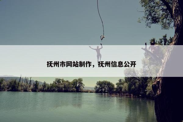 抚州市网站制作，抚州信息公开
