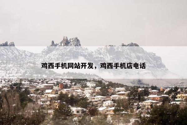 鸡西手机网站开发，鸡西手机店电话