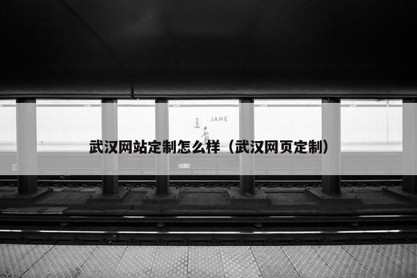 武汉网站定制怎么样（武汉网页定制）
