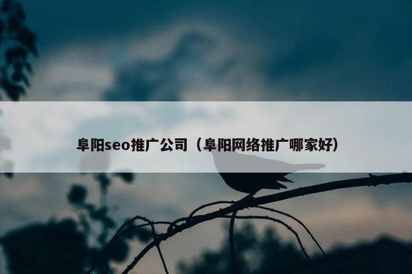 阜阳seo推广公司（阜阳网络推广哪家好）