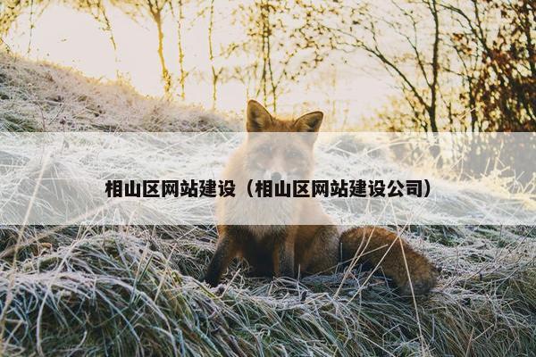相山区网站建设（相山区网站建设公司）