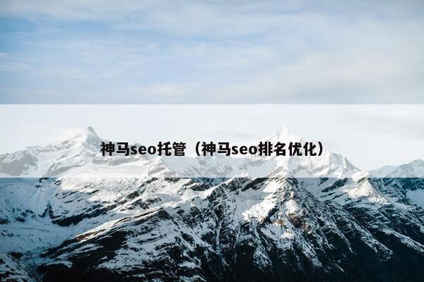 神马seo托管（神马seo排名优化）