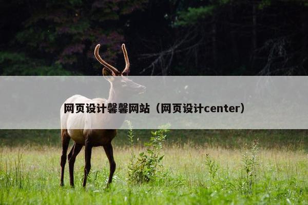 网页设计馨馨网站（网页设计center）