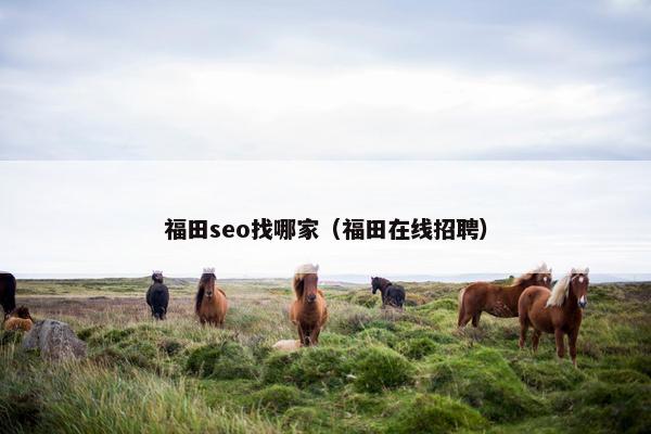 福田seo找哪家（福田在线招聘）