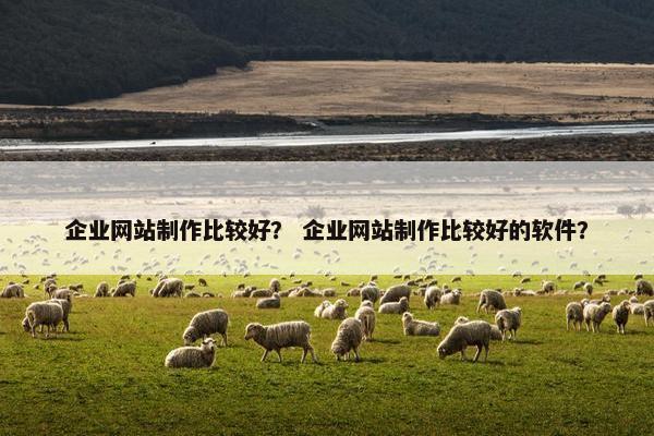 企业网站制作比较好？ 企业网站制作比较好的软件？
