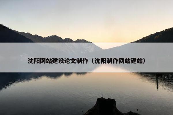 沈阳网站建设论文制作（沈阳制作网站建站）