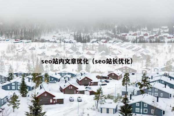 seo站内文章优化（seo站长优化）