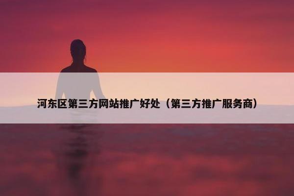 河东区第三方网站推广好处（第三方推广服务商）