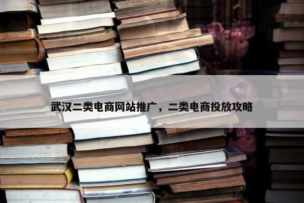 武汉二类电商网站推广，二类电商投放攻略