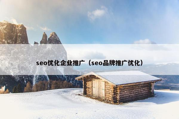 seo优化企业推广（seo品牌推广优化）