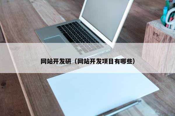 网站开发研（网站开发项目有哪些）