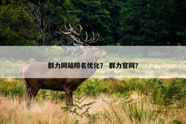 群力网站排名优化？ 群力官网？