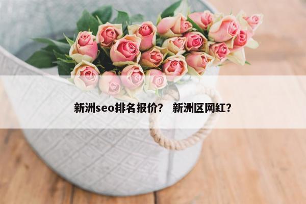 新洲seo排名报价？ 新洲区网红？