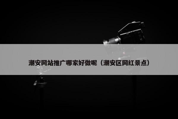 潮安网站推广哪家好做呢（潮安区网红景点）
