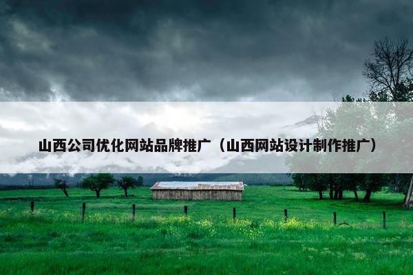 山西公司优化网站品牌推广（山西网站设计制作推广）