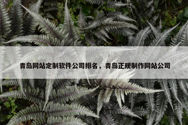 青岛网站定制软件公司排名，青岛正规制作网站公司
