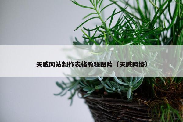 天威网站制作表格教程图片（天威网络）
