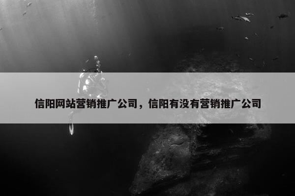 信阳网站营销推广公司，信阳有没有营销推广公司