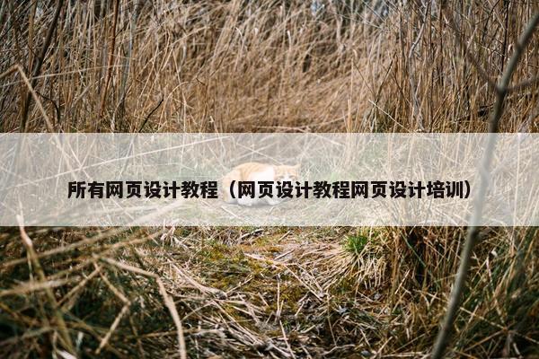 所有网页设计教程（网页设计教程网页设计培训）
