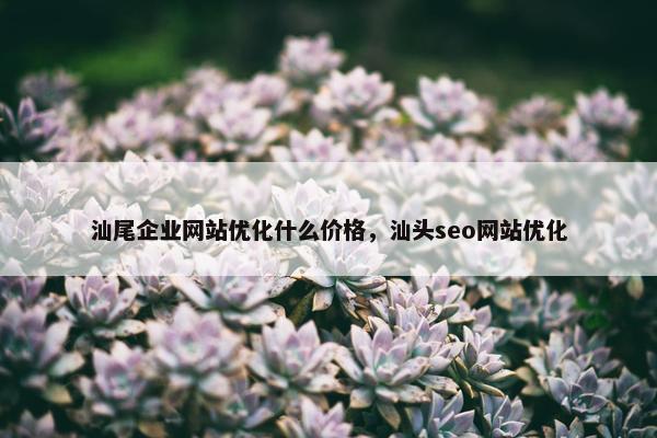汕尾企业网站优化什么价格，汕头seo网站优化