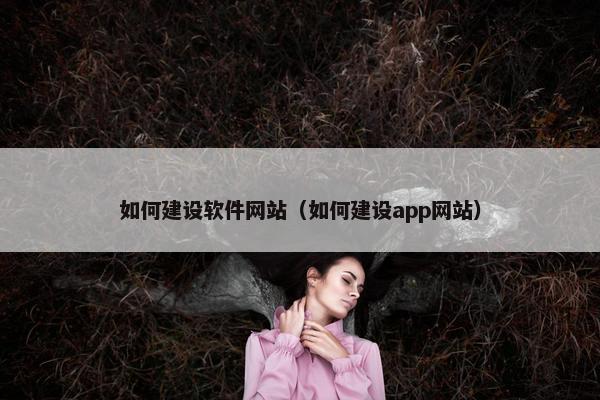 如何建设软件网站（如何建设app网站）