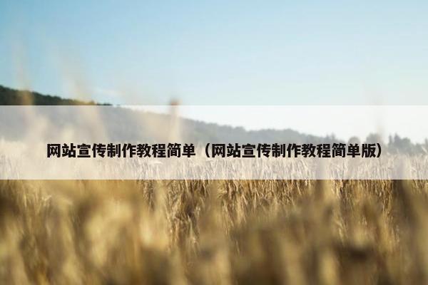 网站宣传制作教程简单（网站宣传制作教程简单版）