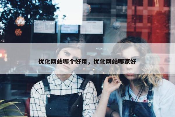 优化网站哪个好用，优化网站哪家好