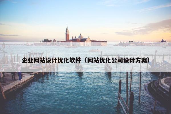 企业网站设计优化软件（网站优化公司设计方案）
