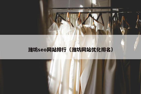 潍坊seo网站排行（潍坊网站优化排名）