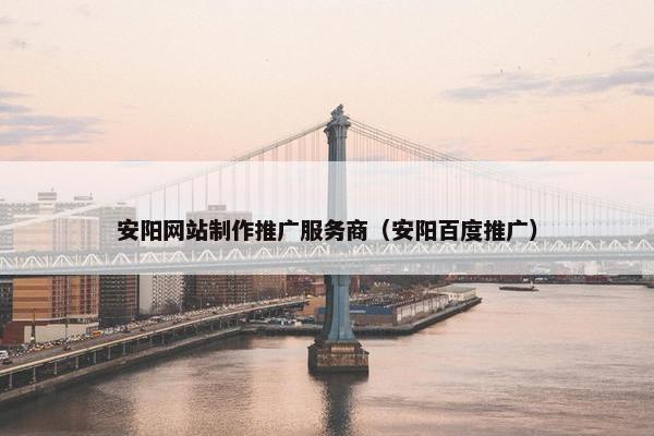 安阳网站制作推广服务商（安阳百度推广）