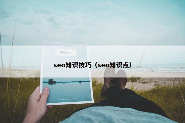 seo知识技巧（seo知识点）