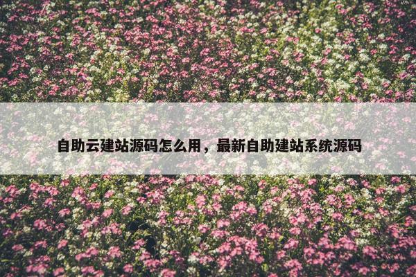 自助云建站源码怎么用，最新自助建站系统源码