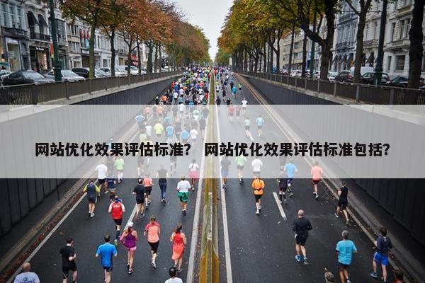 网站优化效果评估标准？ 网站优化效果评估标准包括？