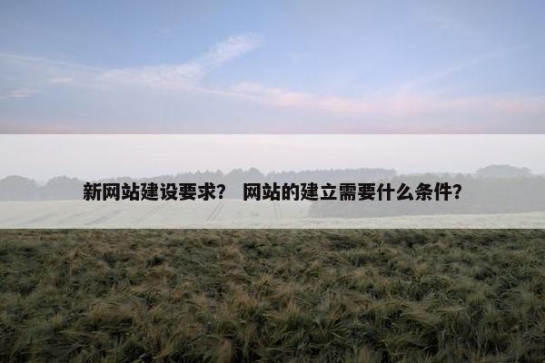 新网站建设要求？ 网站的建立需要什么条件？