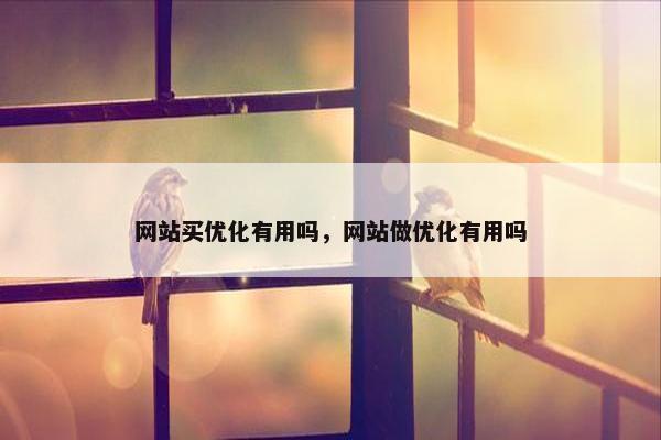 网站买优化有用吗，网站做优化有用吗