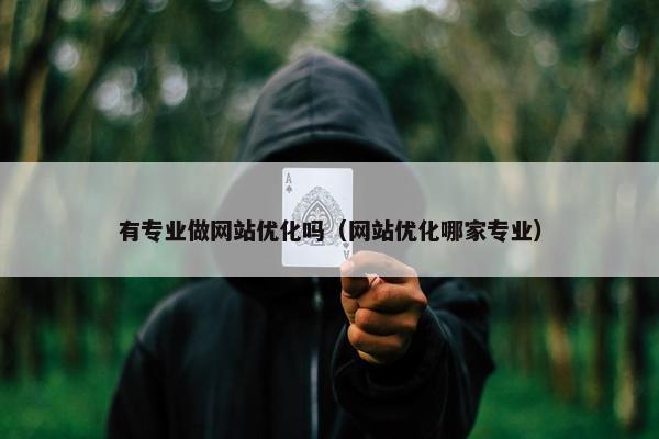 有专业做网站优化吗（网站优化哪家专业）