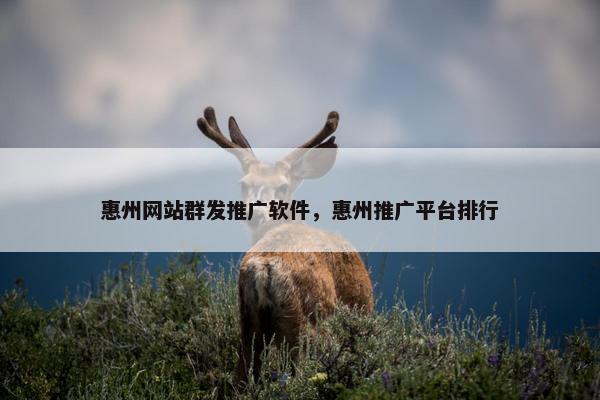 惠州网站群发推广软件，惠州推广平台排行