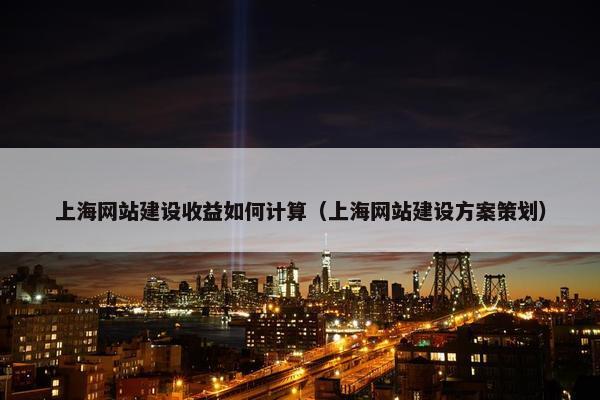 上海网站建设收益如何计算（上海网站建设方案策划）