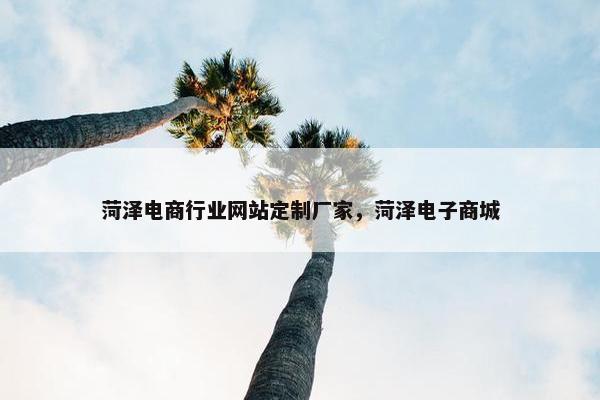 菏泽电商行业网站定制厂家，菏泽电子商城