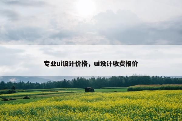 专业ui设计价格，ui设计收费报价
