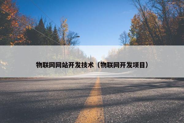 物联网网站开发技术（物联网开发项目）