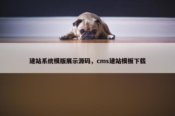 建站系统模版展示源码，cms建站模板下载