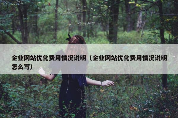 企业网站优化费用情况说明（企业网站优化费用情况说明怎么写）