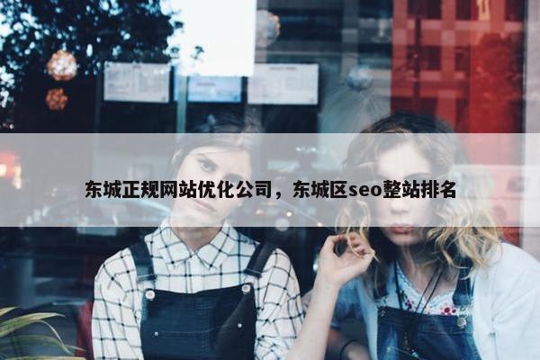东城正规网站优化公司，东城区seo整站排名