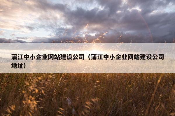 蒲江中小企业网站建设公司（蒲江中小企业网站建设公司地址）