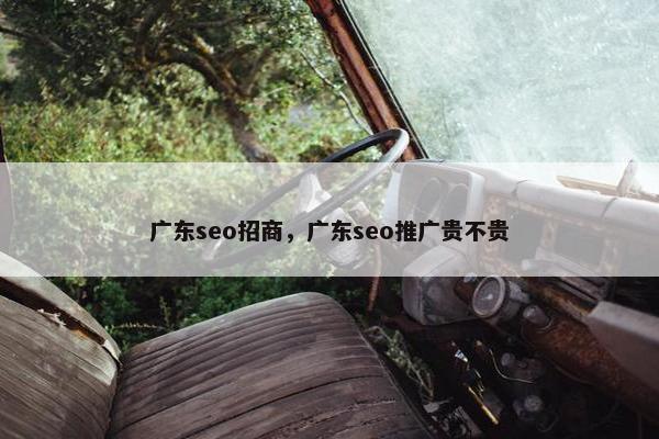 广东seo招商，广东seo推广贵不贵