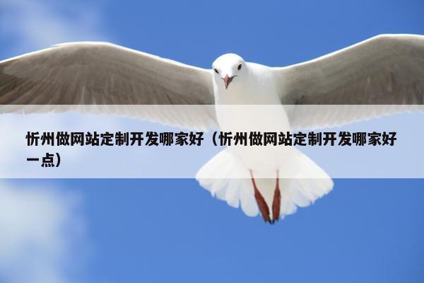 忻州做网站定制开发哪家好（忻州做网站定制开发哪家好一点）