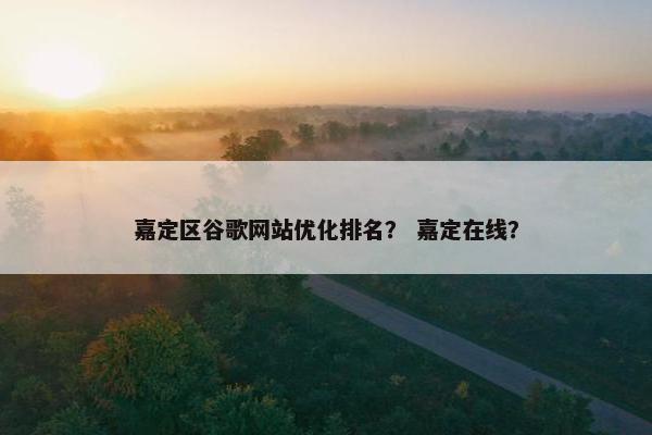 嘉定区谷歌网站优化排名？ 嘉定在线？